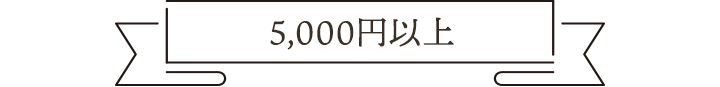 5,000円以上